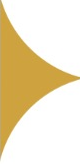 Gold Accent Left Step 2